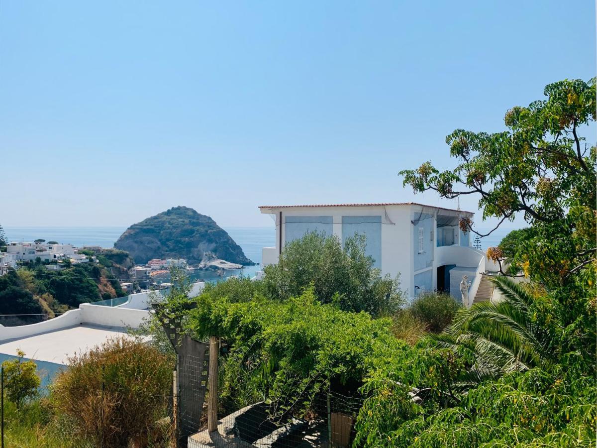 Pensione Casa Verde Sant'Angelo  Εξωτερικό φωτογραφία